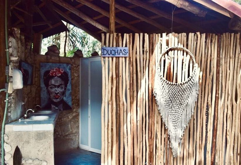 تختخواب و صبحانه Hostal La Malinche   Hostel