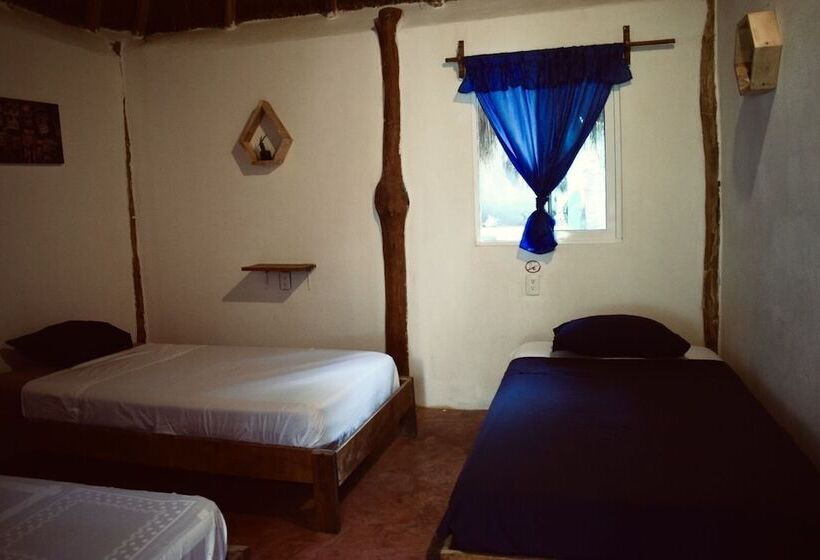 تختخواب و صبحانه Hostal La Malinche   Hostel