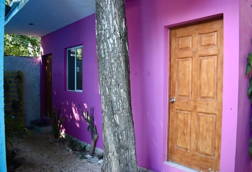 تختخواب و صبحانه Hostal La Malinche   Hostel