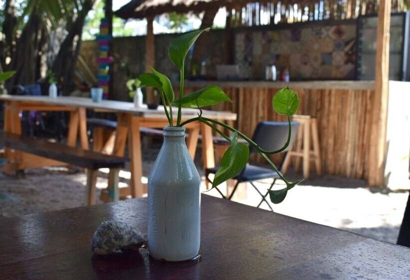 تختخواب و صبحانه Hostal La Malinche   Hostel