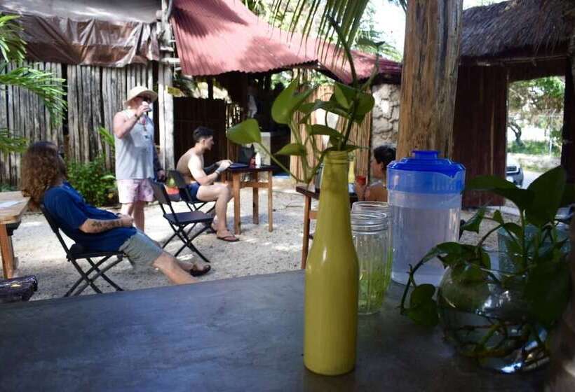 تختخواب و صبحانه Hostal La Malinche   Hostel