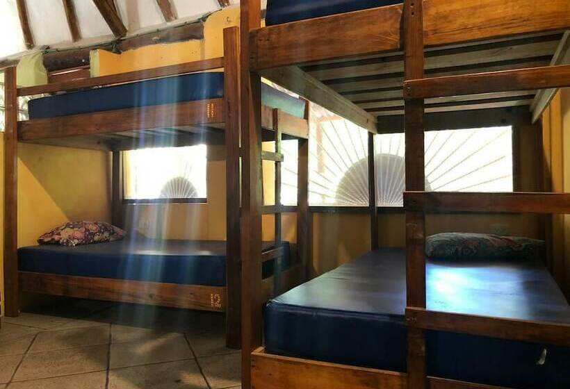 تختخواب و صبحانه Hostal La Malinche   Hostel