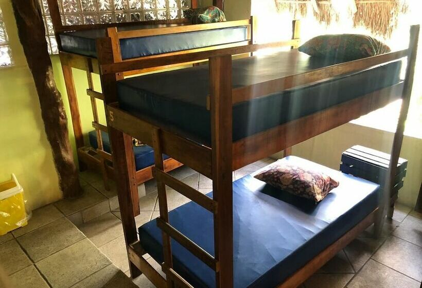 تختخواب و صبحانه Hostal La Malinche   Hostel