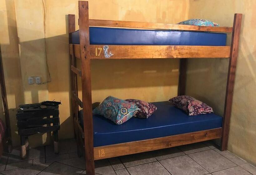 تختخواب و صبحانه Hostal La Malinche   Hostel
