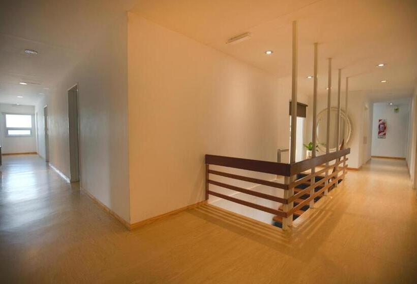 בית מלון כפרי Huemul