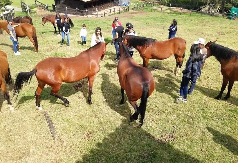 ベッドアンドブレックファースト La Isabela Estancia Ecuestre