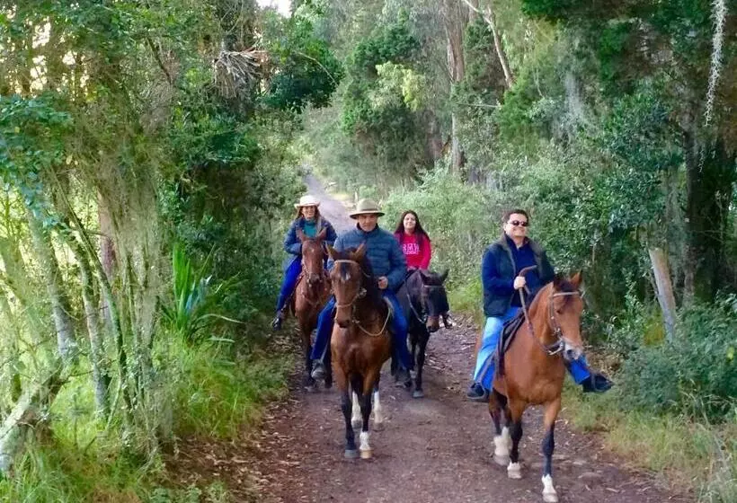 ベッドアンドブレックファースト La Isabela Estancia Ecuestre