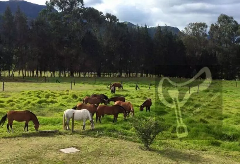 ベッドアンドブレックファースト La Isabela Estancia Ecuestre