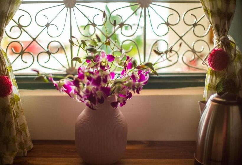 리조트 Casa Jaali