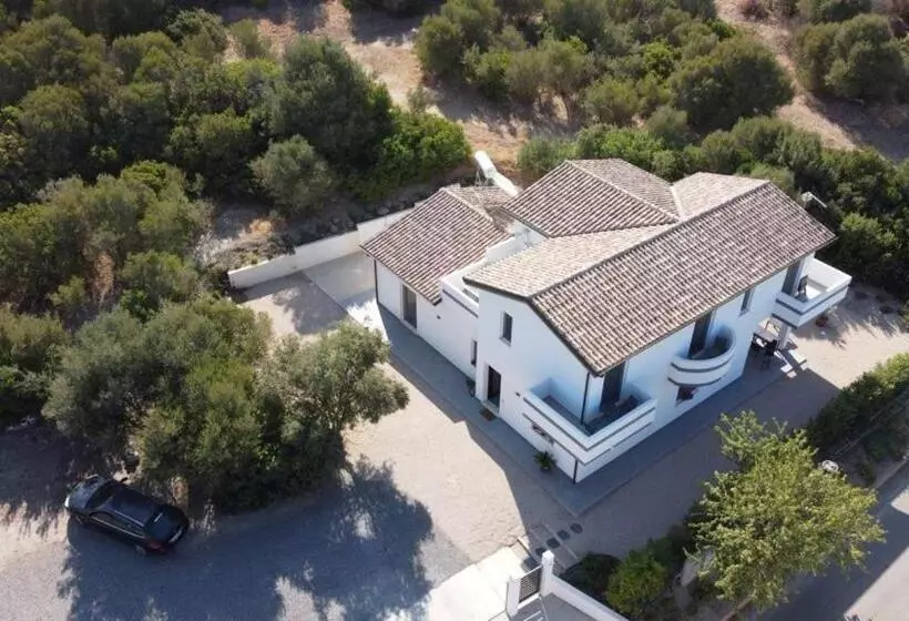 B&b Juniperus