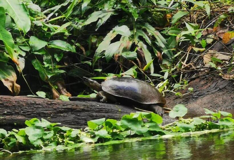 تختخواب و صبحانه Casa Caribe