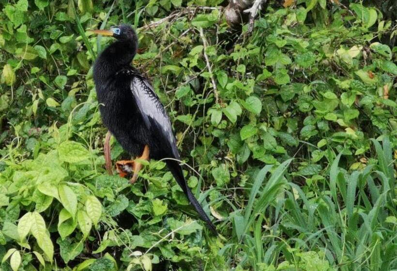 تختخواب و صبحانه Casa Caribe