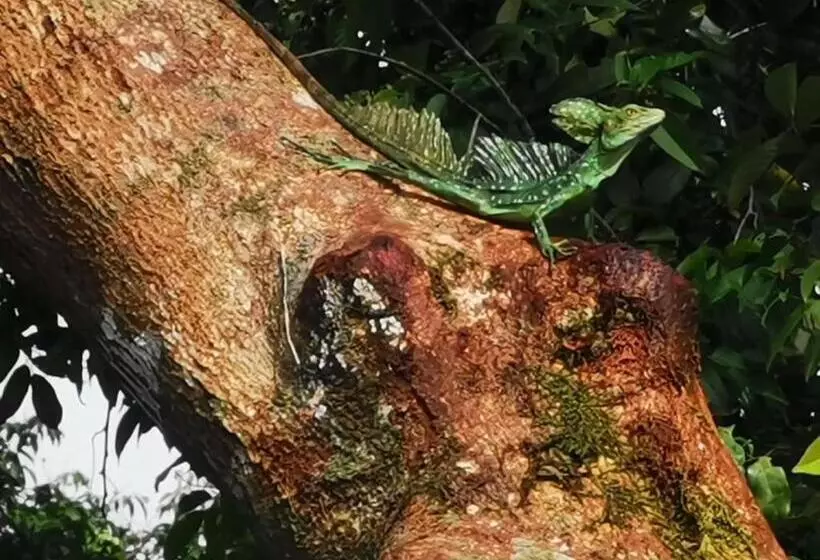 Aamiaismajoitus (B&B) Casa Caribe