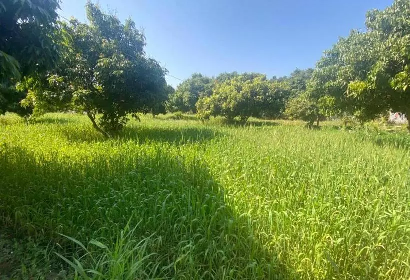 هتل Lushy Days Boom Camp