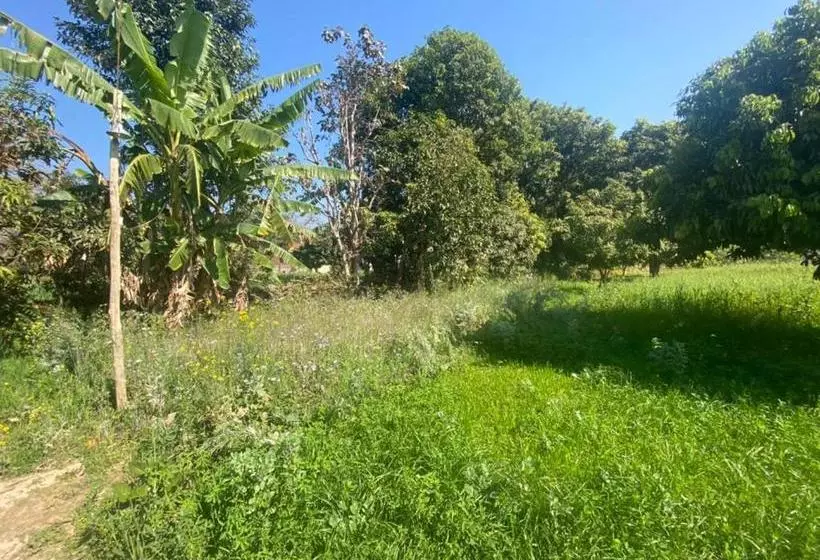 هتل Lushy Days Boom Camp