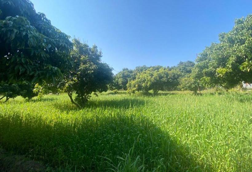 Отель Lushy Days Boom Camp