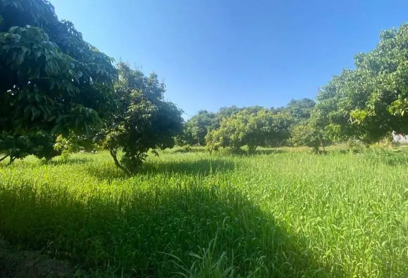 هتل Lushy Days Boom Camp