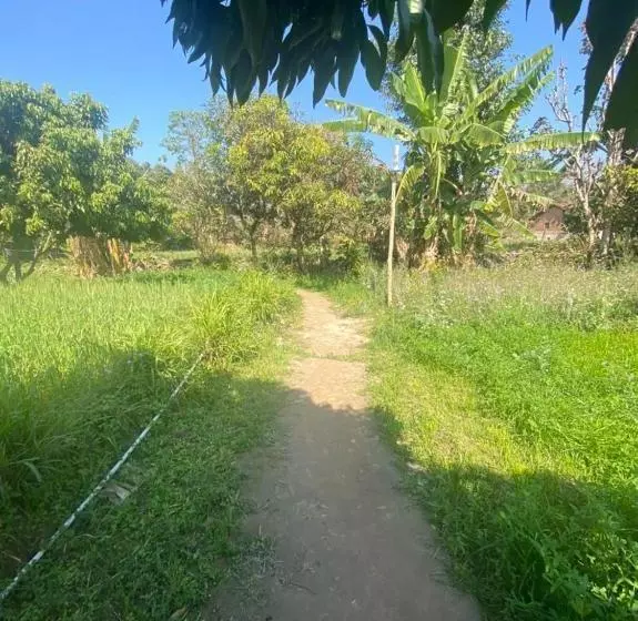 هتل Lushy Days Boom Camp