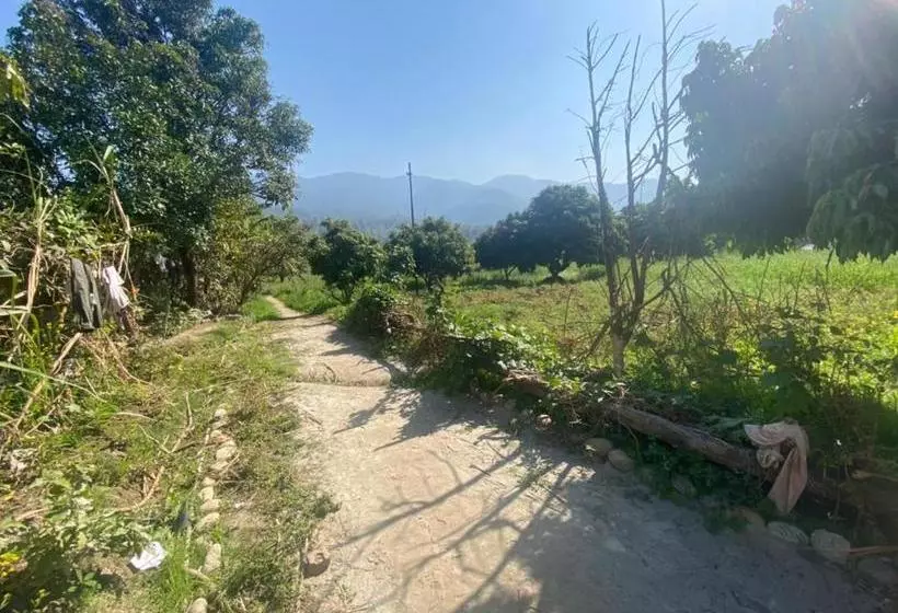 هتل Lushy Days Boom Camp