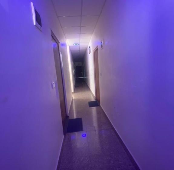 Отель Lushy Days Boom Camp