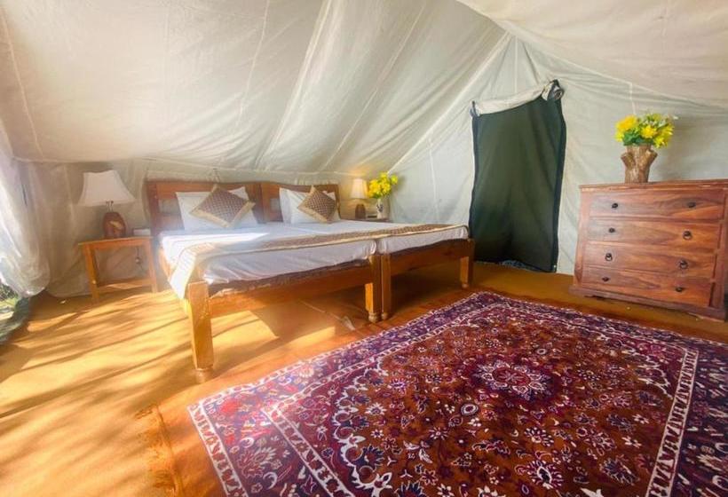 Отель Lushy Days Boom Camp