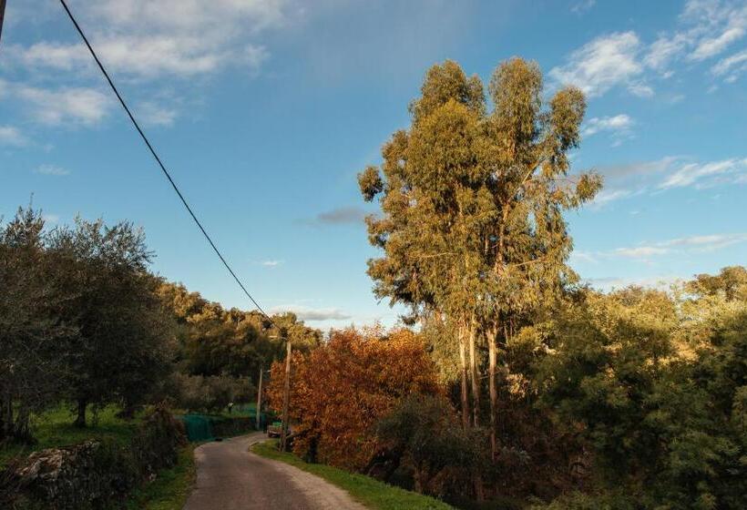 هتل Azeite De Marvão, Olivoturismo Casa Venda Do Lagar