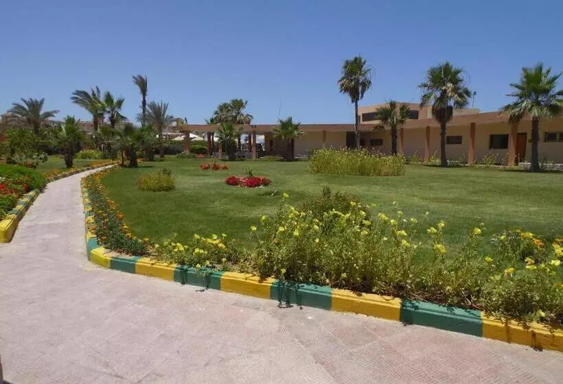هتل Portsaid