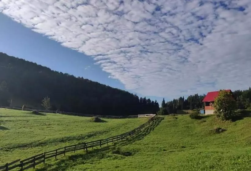 Pensiunea Poarta Lui Ionele