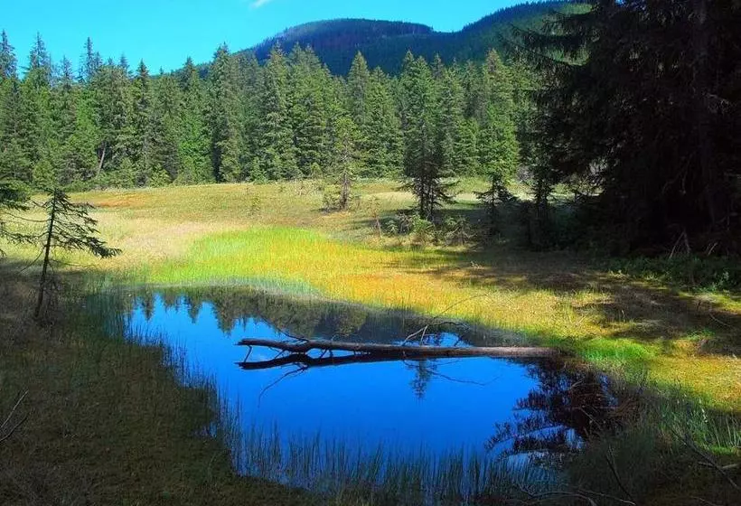 Pensiunea Poarta Lui Ionele