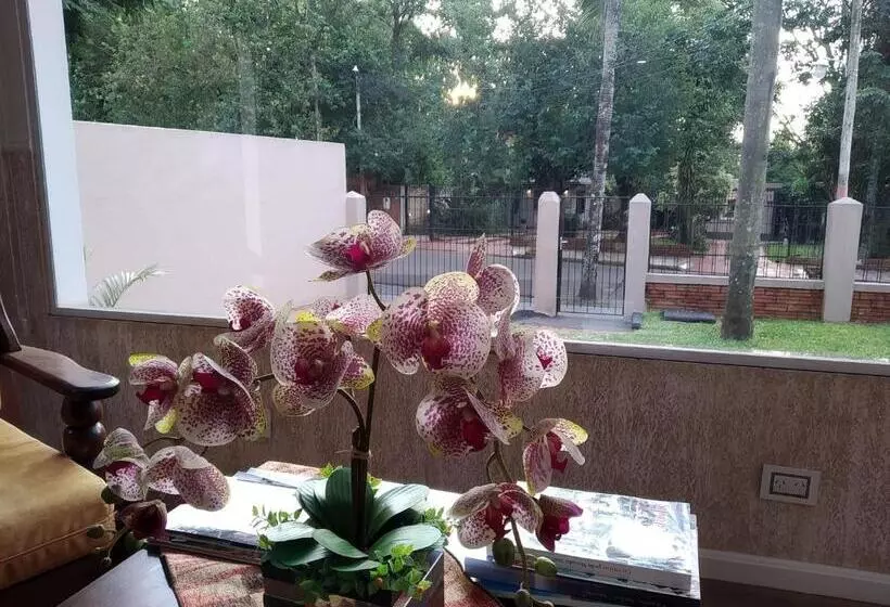 هاستل Posada Del Angú