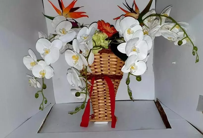 Aamiaismajoitus (B&B) Bnb A La Crus