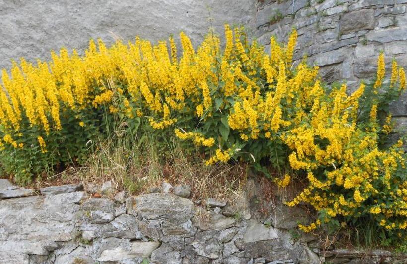 住宿加早餐 Bnb A La Crus