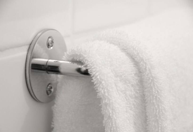 酒店 Les Deux Ponts