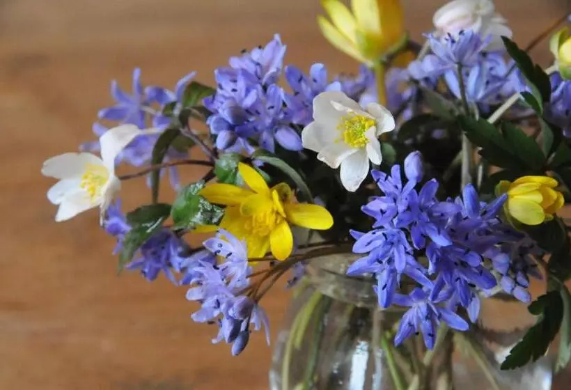 ホテル Les Deux Ponts