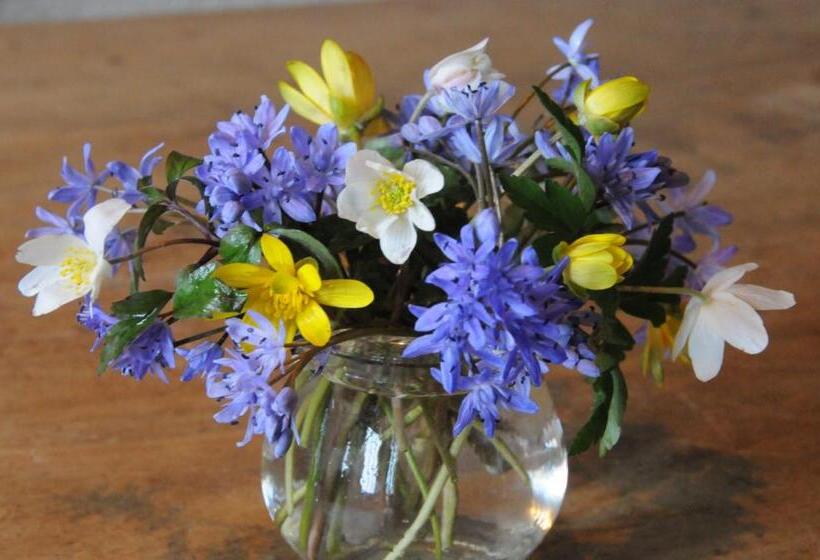 酒店 Les Deux Ponts