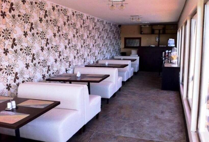 بنسيون Omega Mamaia Nord