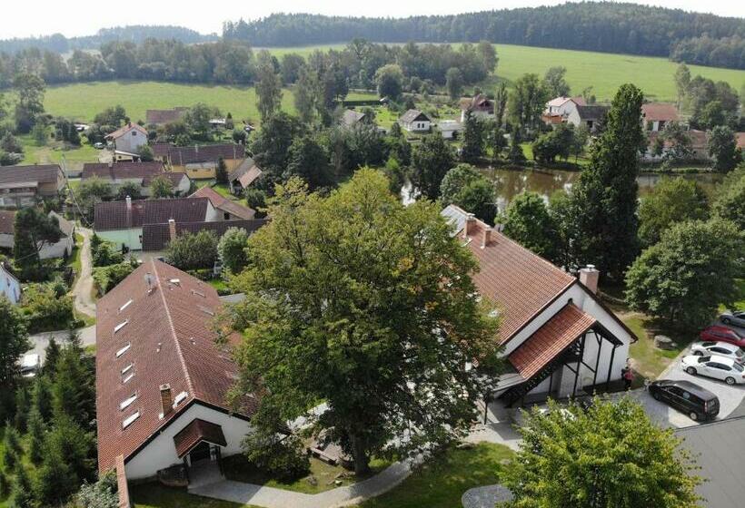 פנסיון Statek český Dvůr