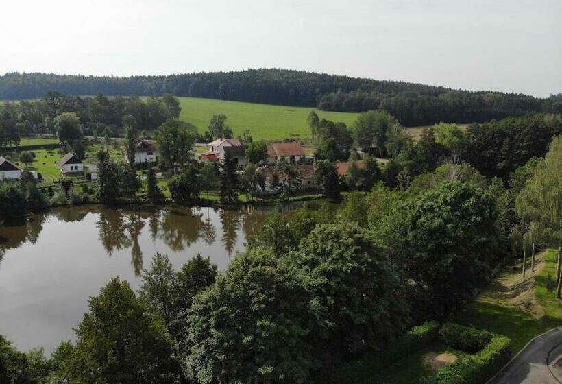 פנסיון Statek český Dvůr