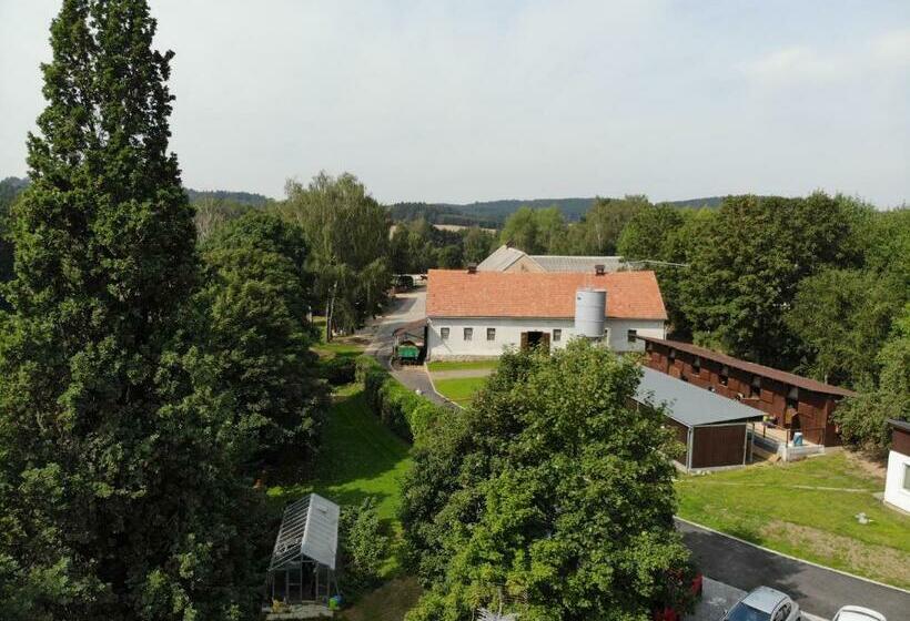 פנסיון Statek český Dvůr