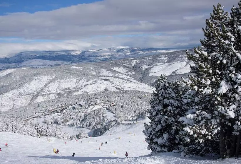 Apartamentos Solineu