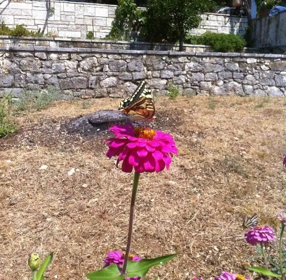 Dimitrakis Apartments