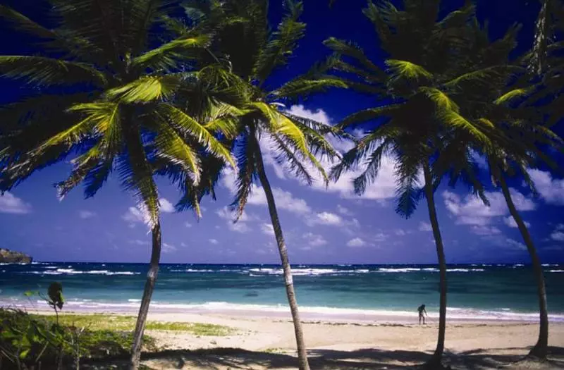 هتل Cap Cove St. Lucia