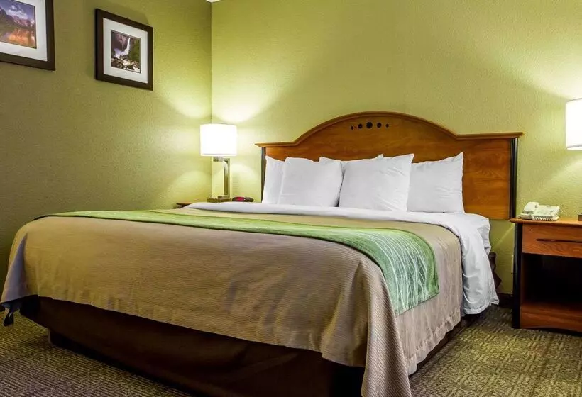 호텔 Comfort Inn Modesto
