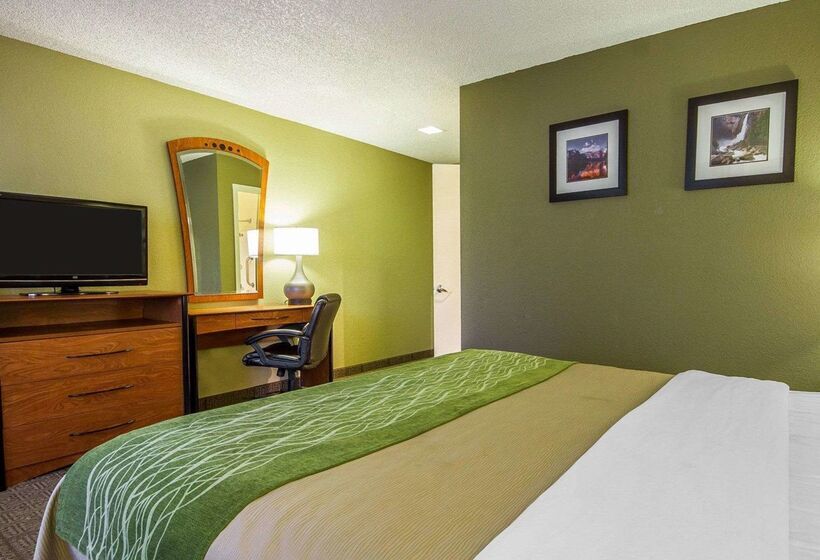ホテル Comfort Inn Modesto