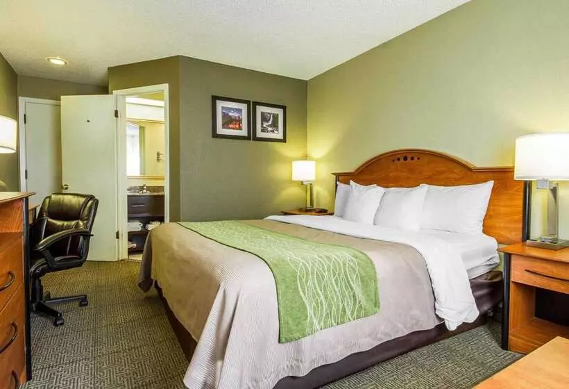 호텔 Comfort Inn Modesto