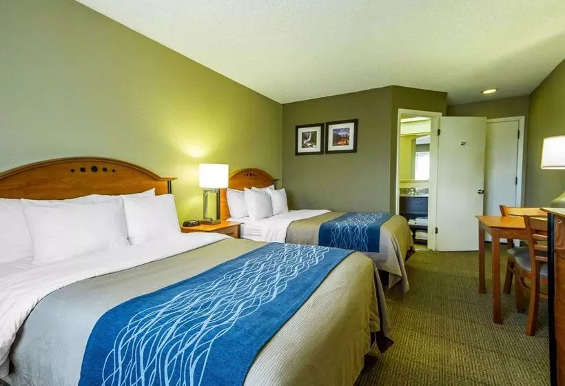 호텔 Comfort Inn Modesto