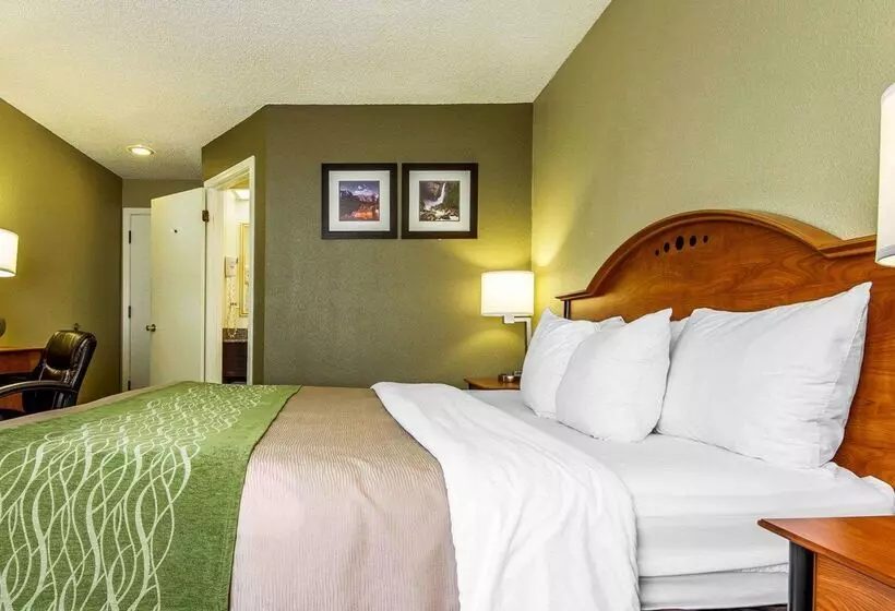 호텔 Comfort Inn Modesto