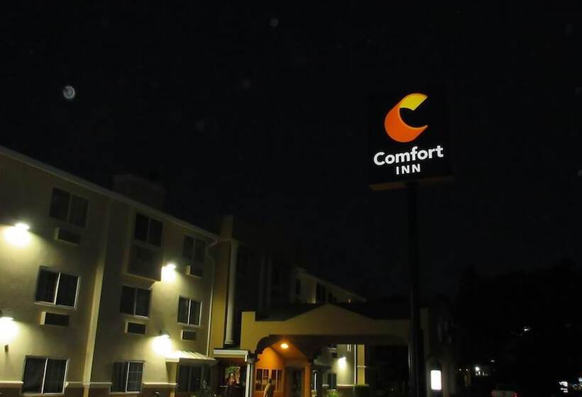 ホテル Comfort Inn Modesto