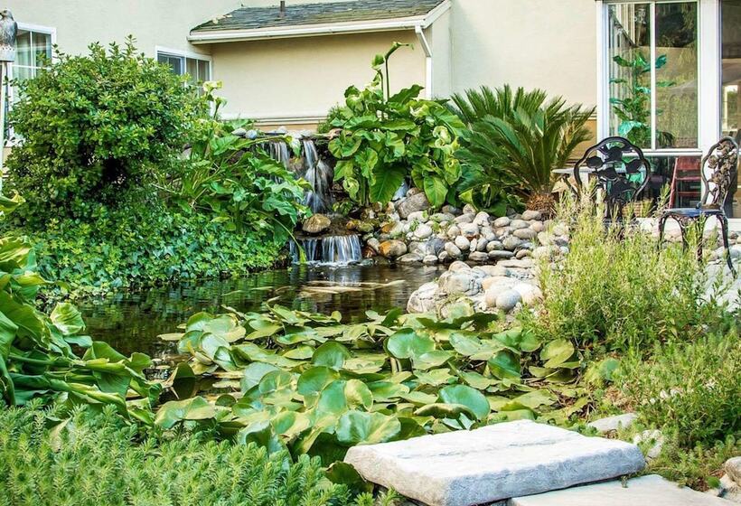 ホテル Comfort Inn Modesto