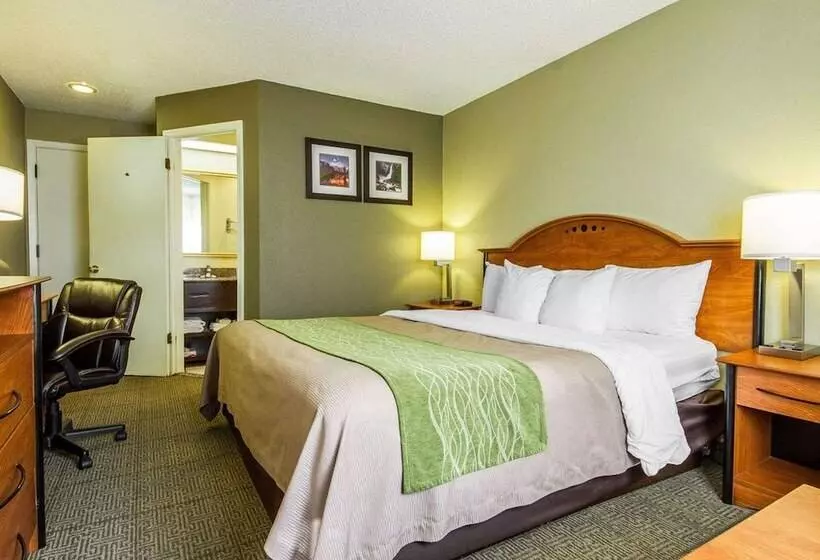 호텔 Comfort Inn Modesto